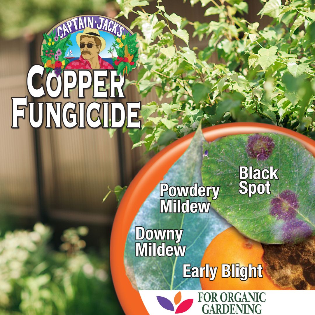 Liquid Copper Fungicide Spray- Bonide – 32 oz